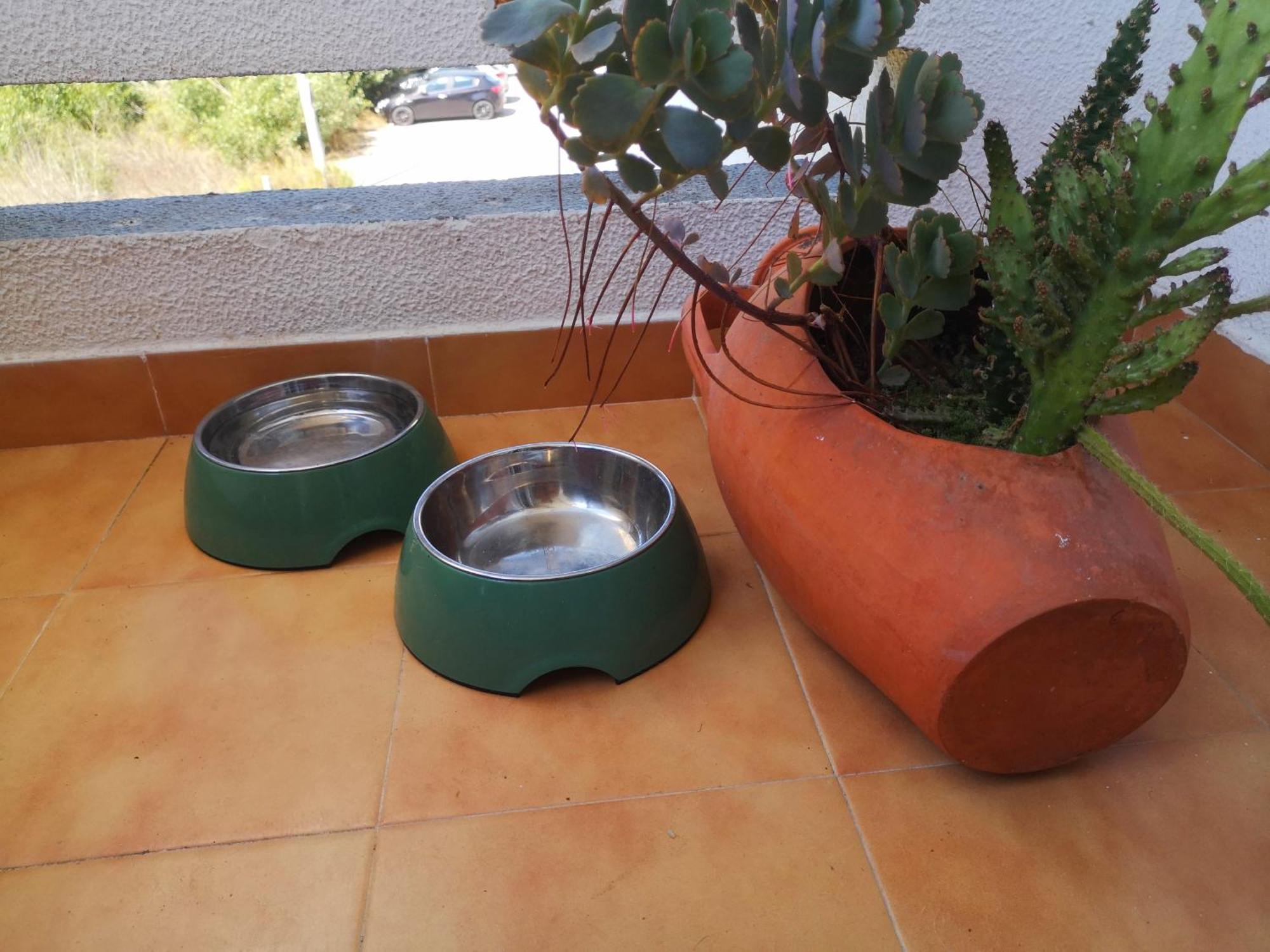 Ocean View Dive House Apartment Sesimbra Luaran gambar